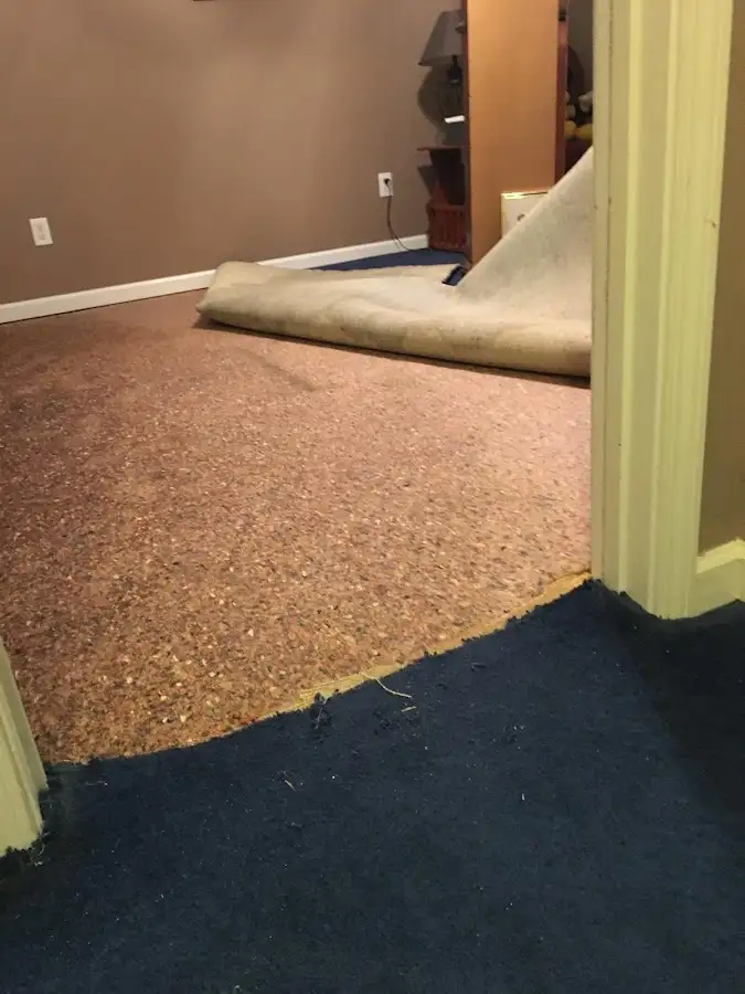 Carpet pad removal revealing water damage during Drying & Dehumidification in Loudon