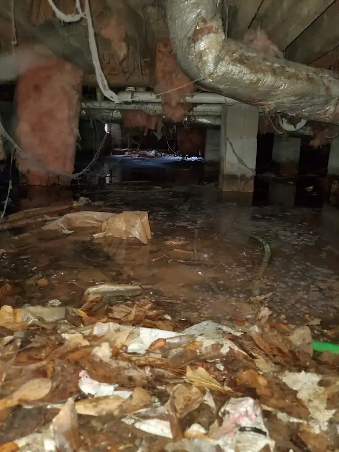 Crawl space flood assessment for Leak Detection & Repair in Loudon