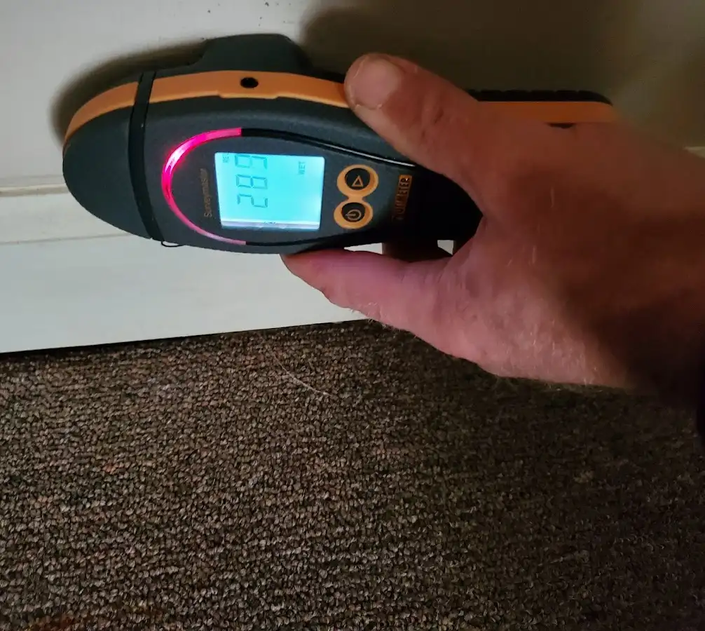 Moisture detection at baseboard during Mold Inspection & Testing in Loudon